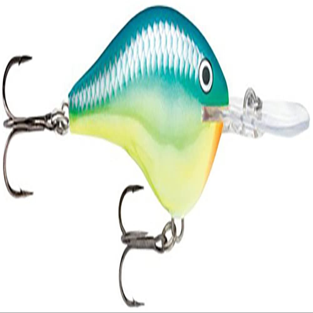 Dives-to 04 Caribbean Shad