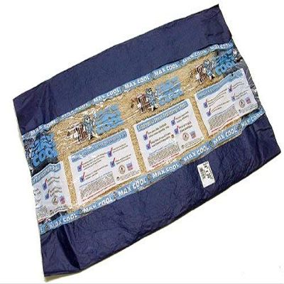 Aspen Evaporative Cooler Pad, 22 x 34-In.