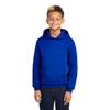 Russell Athletic Boys Dri-Power Fleece and Sweatshirts Athletic Hoodies, Hoodie - Royal, Small US view 1