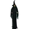 Fun Express Standing Witch with Red Apple Halloween Decoration - Lights up and Makes Sound - Scary Home Decor view 1