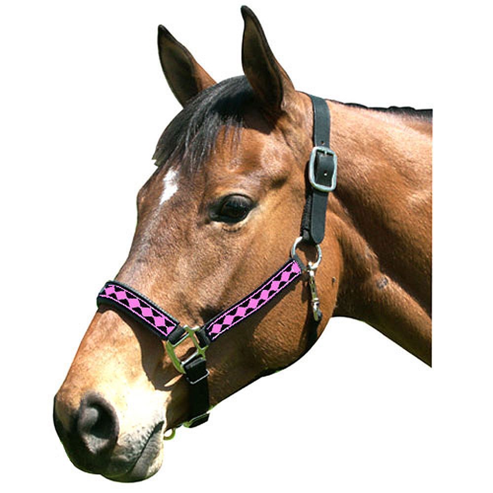 Intrepid International Leather Crown Diamond with Padded Nose Halter, Purple/Silver, Yearling