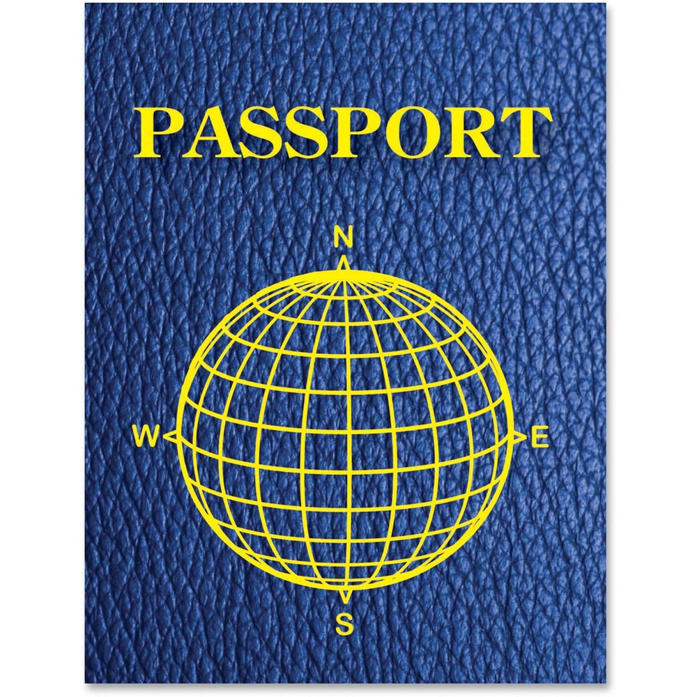Ashley Blank Passports, Multicolored