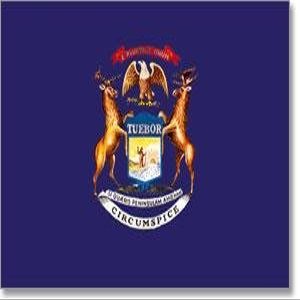 State of Michigan Flag - 3 x 5 Nylon