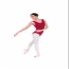 EUROTARD Womens Tank Leotard with Cotton (RED, X-SMALL) - 1002 view 1