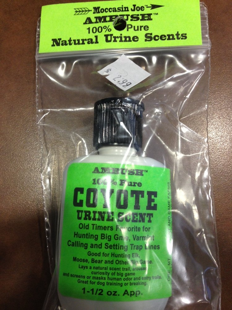 Ambush Coyote Urine Scent