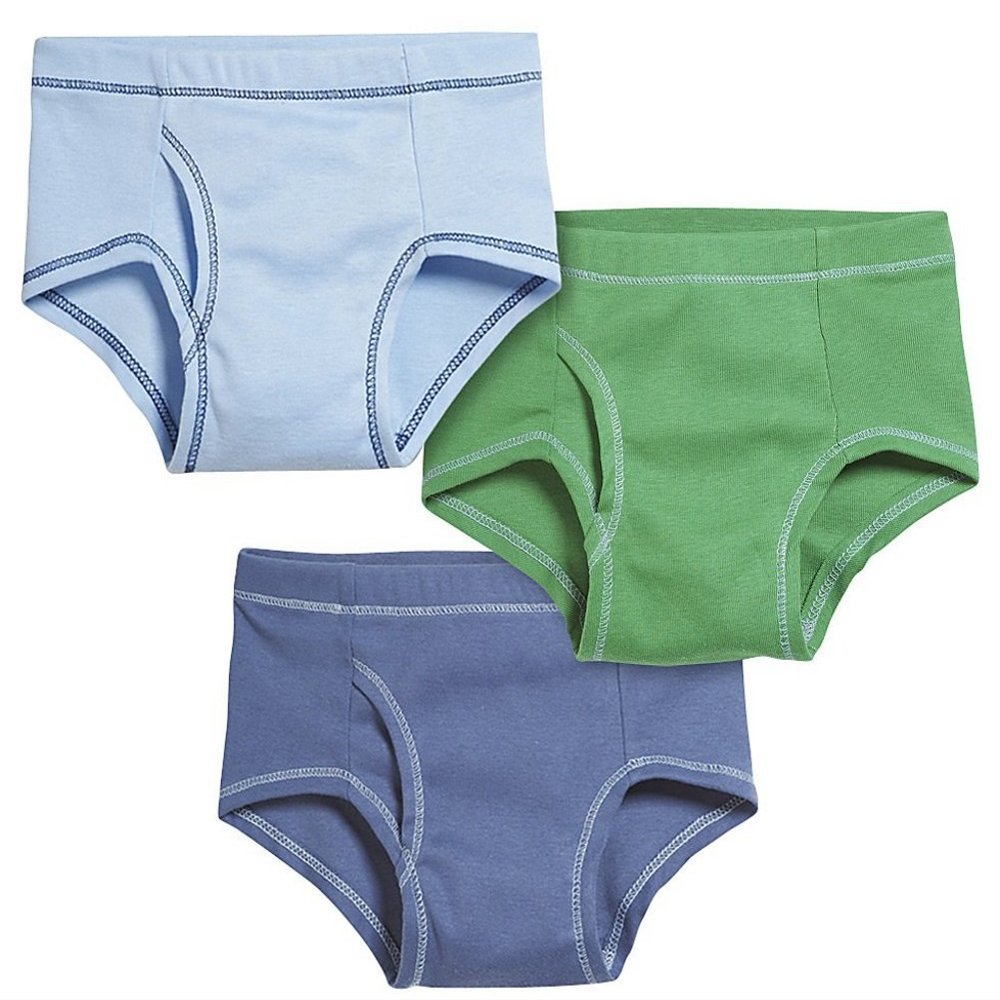 Made in USA Boys Briefs Underwear in All Cotton - Toddler Underpants - Perfect for Sensitive Skins SPD Sensory Friendly Clothing 3-Pack, Fun Boy, Size 2T