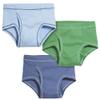 Made in USA Boys Briefs Underwear in All Cotton - Toddler Underpants - Perfect for Sensitive Skins SPD Sensory Friendly Clothing 3-Pack, Fun Boy, Size 2T view 1