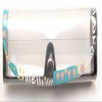 Hand Painted Hard Eyeglass Case w/Snap Flap Closure, Clear C350P-J