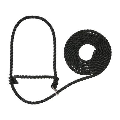 Weaver Leather Livestock Kirk Stierwalt Breaking Halter,Black,8 1/2'