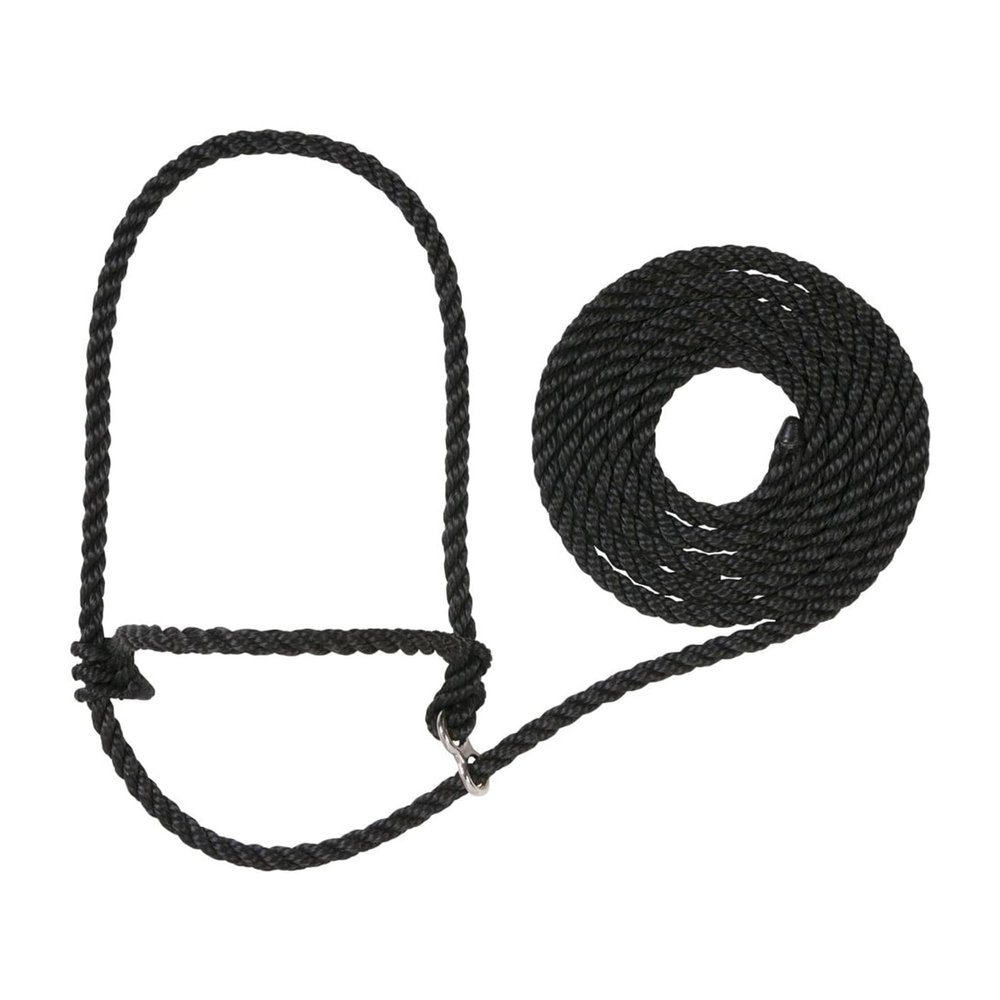 Weaver Leather Livestock Kirk Stierwalt Breaking Halter,Black,8 1/2'