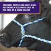 Weaver Leather Livestock Kirk Stierwalt Breaking Halter,Black,8 1/2' view 4