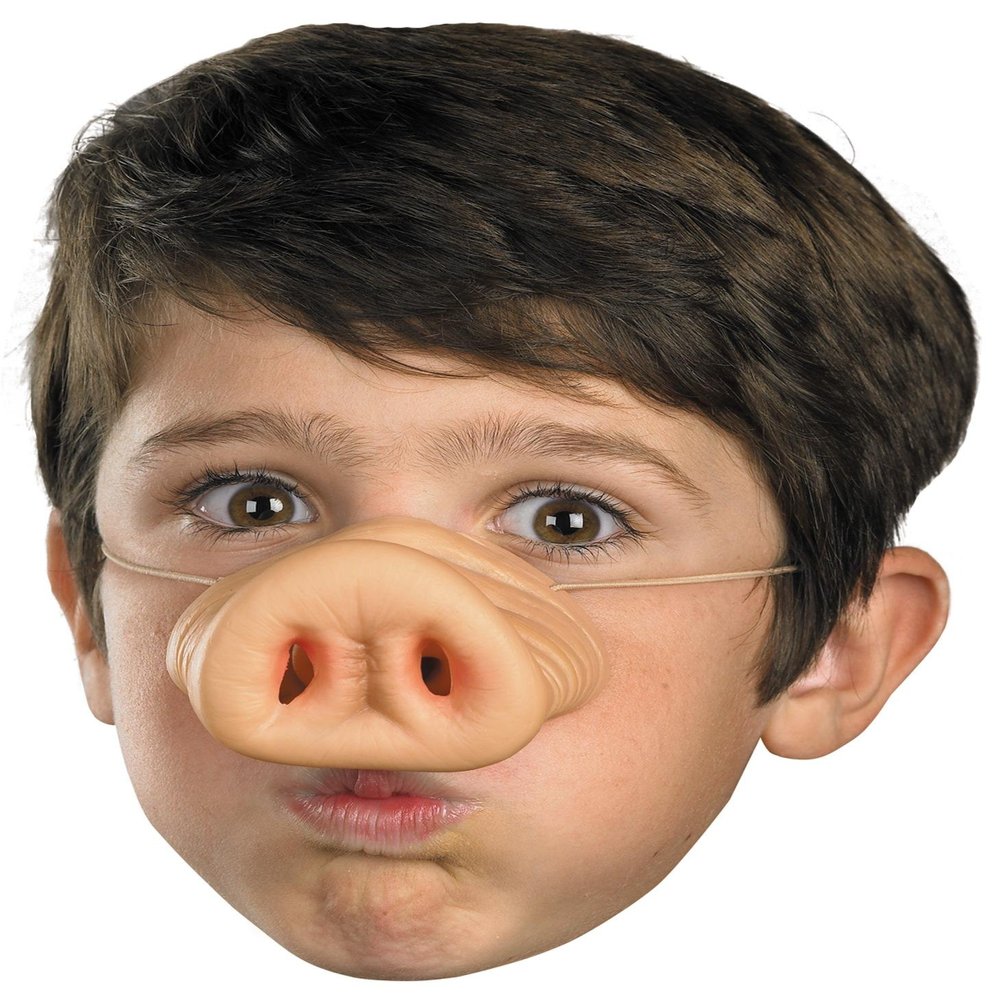 Strap On Pigs Nose
