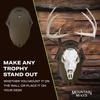Mountain Mike's Reproductions Europlaque Skull Desk/Wall Mount Display Plaque view 2