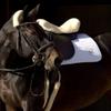 Werner Christ Horse Contour Girth Dressage Anthracite, Made of Real Sheepskin in Charcoal Black, Size 75cm view 4