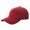 6 Panel Polynosic Cap - Wine view 1