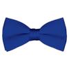 Boy's Solid Color Banded Satin Bow Ties / Bowties (Royal Blue) view 1