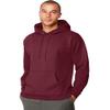 Hanes Mens Ultimate Cotton Heavyweight Pullover Hoodie (S, Deep Forest) view 1