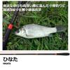 Daiwa Hinata Mountain Stream Rod, 7 Shaku Fishing Rod view 2