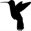 Express Yourself Hummingbird Silhouette Wall Decal (Black - Reverse Facing - 4XL) - Bird Collection view 1