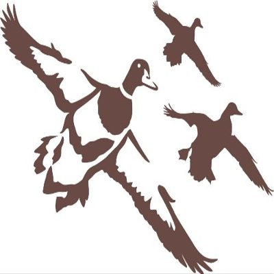 Express Yourself Ducks Jukin 10 Wall Decal (Brown - Facing as Shown - Medium) - Waterfowl Collection
