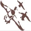 Express Yourself Ducks Jukin 10 Wall Decal (Brown - Facing as Shown - Medium) - Waterfowl Collection view 1