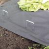 Windhager Tent Pegs, Metal, Galvanised, Pack of 10 view 4