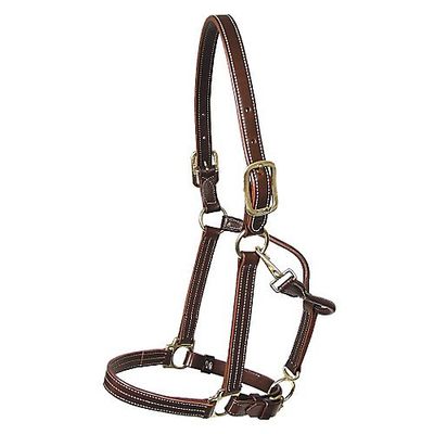 Walsh Kentucky Leather Halter Horse