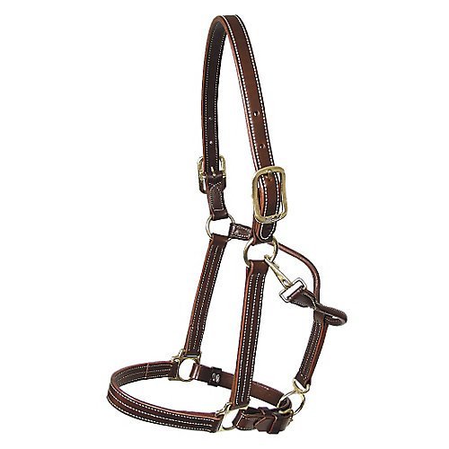Walsh Kentucky Leather Halter Horse