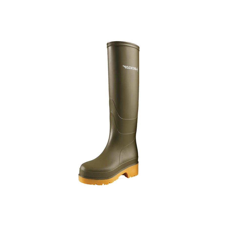 Dunlop Childrens/Kids Dull Wellies (11 Child US) (Green)