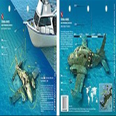 Innovative Scuba New Art to Media Underwater Waterproof 3D Dive Site Map - Cessna 310 in The Bahamas (8.5 x 5.5 Inches) (21.6 x 15cm)/LID