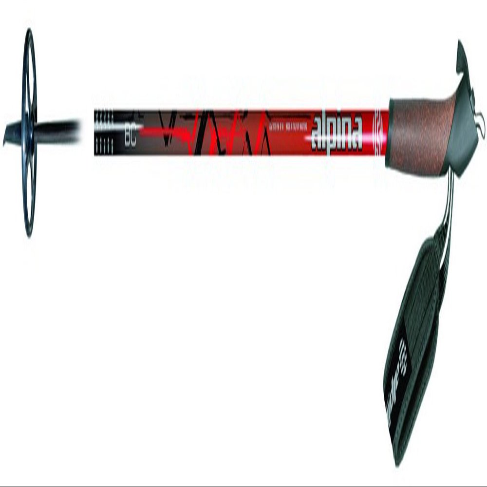 Alpina Sports ASC BC Backcountry Cross-Country Ski Poles, Black, 165cm