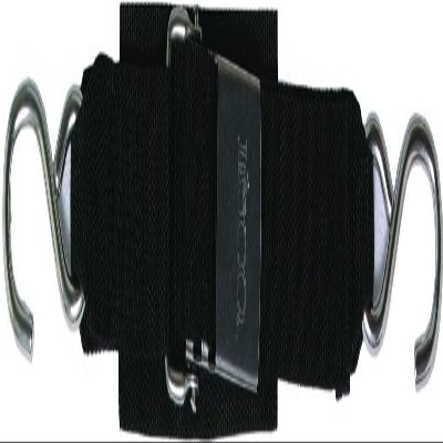Boatbuckle F12066 Transom Tie Down 2" X 4' Ss