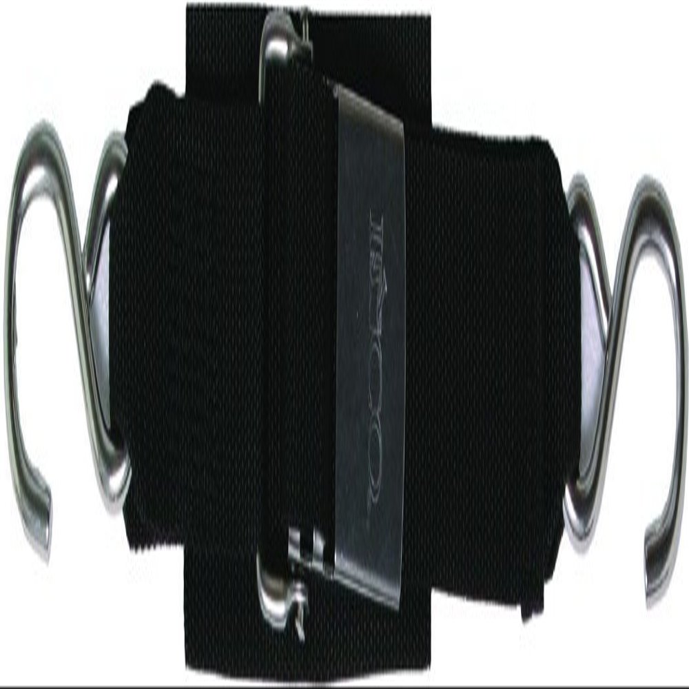 Boatbuckle F12066 Transom Tie Down 2" X 4' Ss