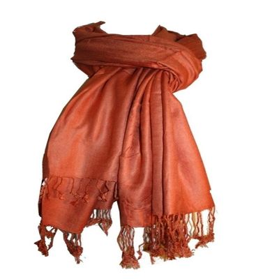 Agan Traders Women's 2025 Shawl Soft Viscose Wrap Throw Shawl (ATSF56, BRRD,)
