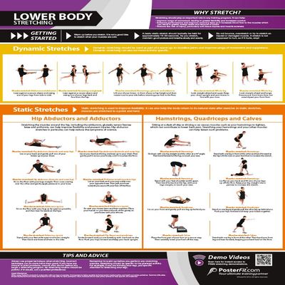 Lower Body Stretching | Dynamic & Static Stretches | Laminated Home & Gym Poster | FREE Online Video Training Support | Size - 841mm x 594mm (A1) | Improves Personal Fitness & Flexibility