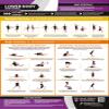 Lower Body Stretching | Dynamic & Static Stretches | Laminated Home & Gym Poster | FREE Online Video Training Support | Size - 841mm x 594mm (A1) | Improves Personal Fitness & Flexibility view 1