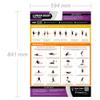 Lower Body Stretching | Dynamic & Static Stretches | Laminated Home & Gym Poster | FREE Online Video Training Support | Size - 841mm x 594mm (A1) | Improves Personal Fitness & Flexibility view 2