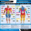 Muscle Groups & Exercises | Anterior & Posterior Muscles & Exercises | Laminated Home & Gym Poster | FREE Online Video Training Support | Size - 841mm x 594mm (A1) | Improves Personal Fitness view 1