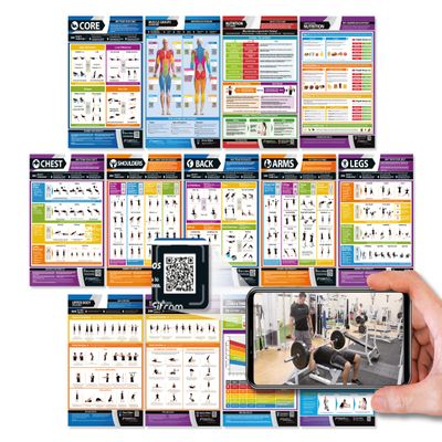 Gym Workout Posters - Set of 13 - EXTRA LARGE 33" x 23.5" - Laminated - Muscle Groups Exercise Charts - Includes Video Training Support - Exercise and Home Workout Charts by Posterfit.