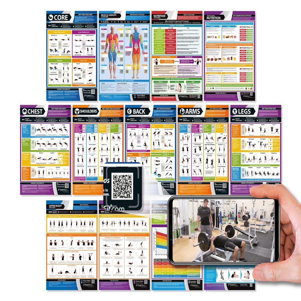 Gym Workout Posters - Set of 13 - EXTRA LARGE 33" x 23.5" - Laminated - Muscle Groups Exercise Charts - Includes Video Training Support - Exercise and Home Workout Charts by Posterfit.