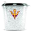 Duck House Sports Arizona State UNIV Crystal Freezer Tumbler view 1