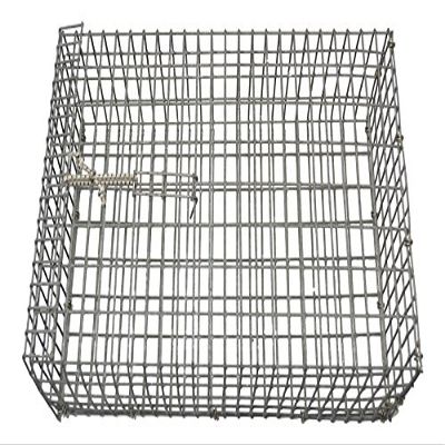 Bandito Bc06g Galvanized Chum Box, Chum Cage 4 X 8 X 12 Inches
