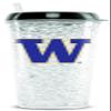 Duck House Sports UNIV of Washington Crystal Freezer Tumbler view 1