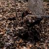 Arcturus 3D Ghillie Leaf Suit: Lightweight, Breathable Leafy Camo Suit for Hunting, Paintball, and Airsoft with Over 1,000 Laser-Cut Leaves (Fall Forest, ML) view 4