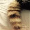 Insider Bat Coonskin Cap, Earth Friendly Coon Tail, Davy Crockett Cap, Racoon Hat view 3