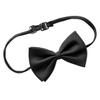Carnival Toys 1809  Bow Tie Black view 1