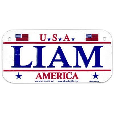 Gift House Liam USA Bike Plate - Made in USA, 3x6 Embossed Aluminum