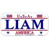 Gift House Liam USA Bike Plate - Made in USA, 3x6 Embossed Aluminum view 1