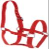 Cottage Craft Standard Head Collar Pony red view 1