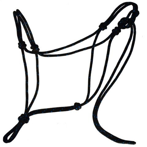 Knotty Girlz 2 Knot Rope Horse Halte (Black with Blue, Yearling)